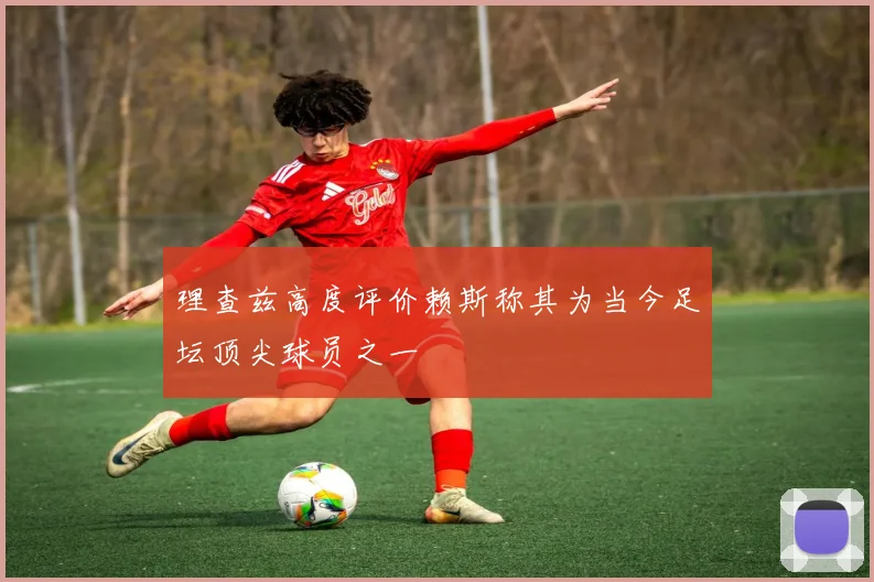 理查兹高度评价赖斯称其为当今足坛顶尖球员之一