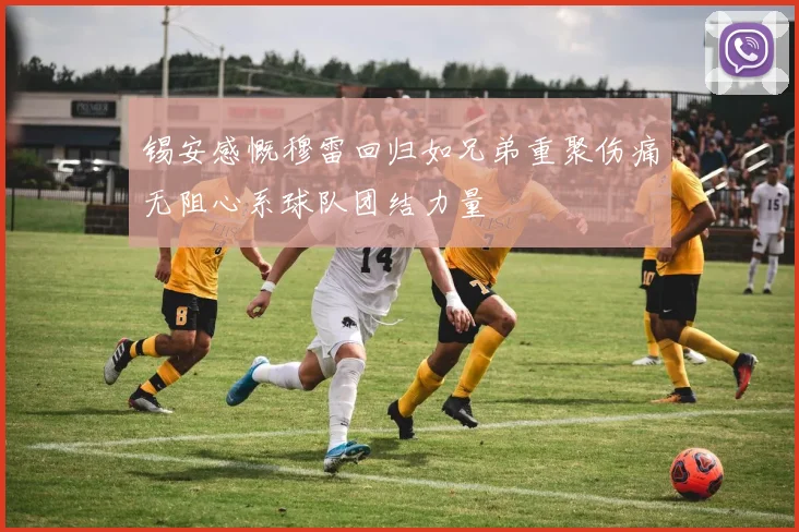 锡安感慨穆雷回归如兄弟重聚伤痛无阻心系球队团结力量